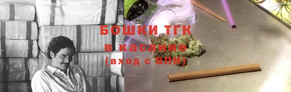 индика Медвежьегорск