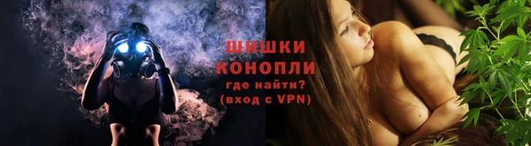 индика Медвежьегорск