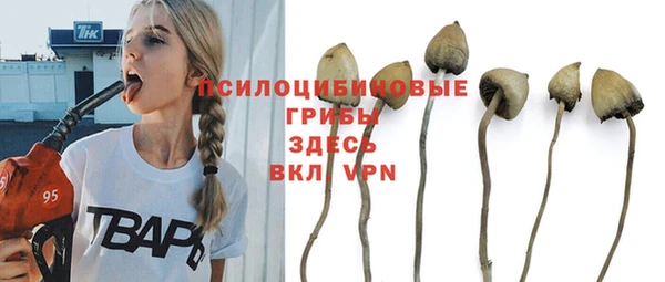 амф Михайлов