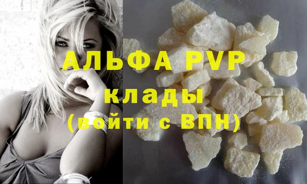 индика Медвежьегорск