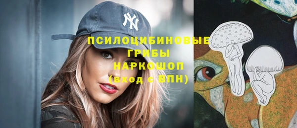 apvp Михайловск
