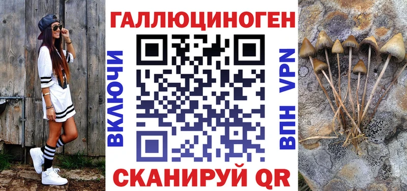 Купить где  Снежногорск  Псилоцибиновые грибы GOLDEN TEACHER 