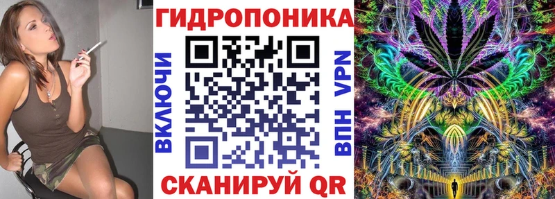 Шишки марихуана THC 21%  Купить закладки  Снежногорск 